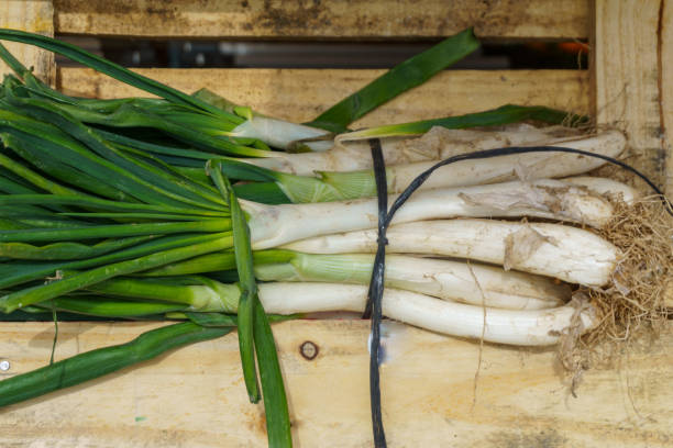 Aquest plat típic de la gastronomia catalana és originari de les comarques de Tarragona